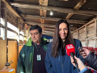Funcionarios del SAG realizando una inspección de calidad en la venta de chicha y vino pipeño en un local comercial.