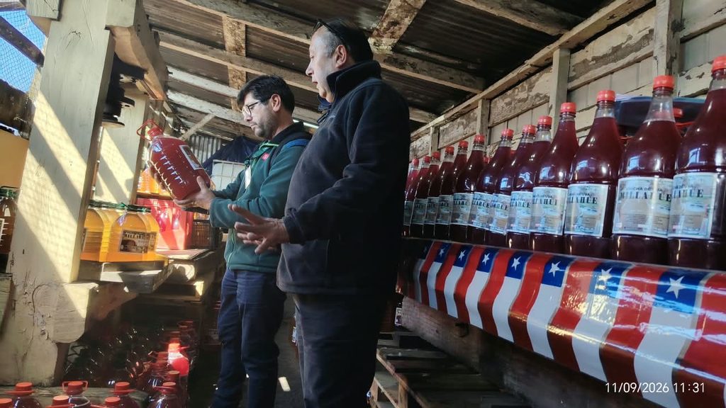 Funcionarios del SAG realizando una inspección de calidad en la venta de chicha y vino pipeño en un local comercial.