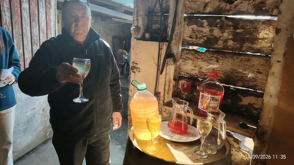 Funcionarios del SAG realizando una inspección de calidad en la venta de chicha y vino pipeño en un local comercial.