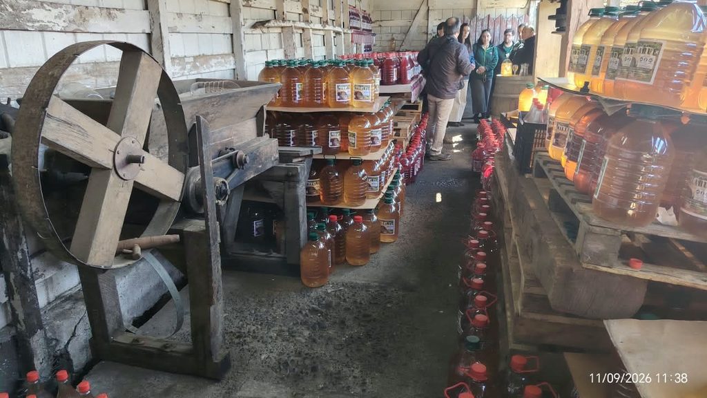 Funcionarios del SAG realizando una inspección de calidad en la venta de chicha y vino pipeño en un local comercial.