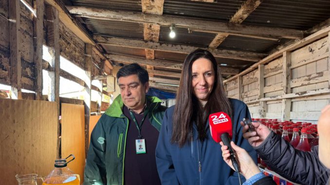 Funcionarios del SAG realizando una inspección de calidad en la venta de chicha y vino pipeño en un local comercial.