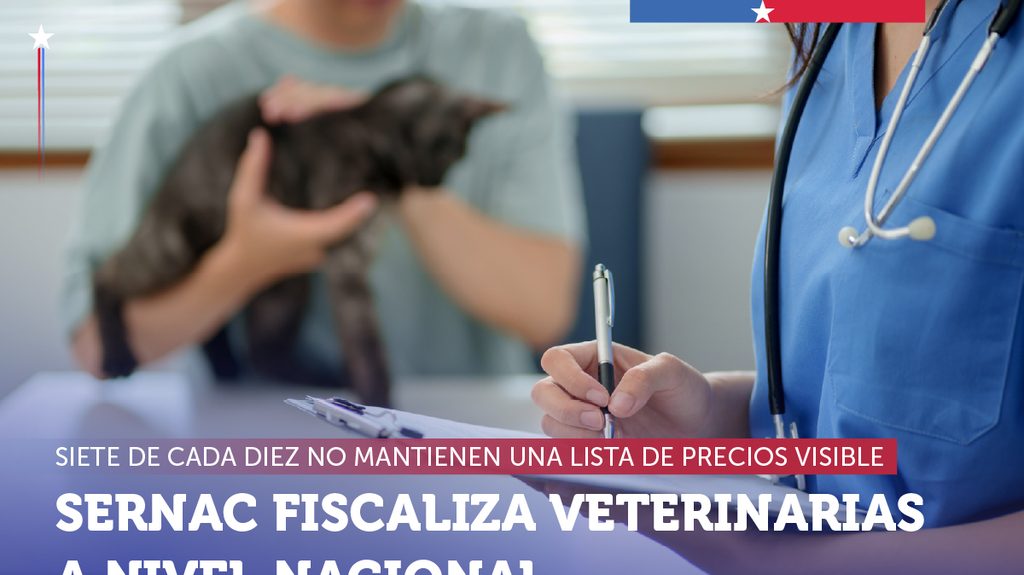 Sernac fiscaliza veterinarias y revela que siete de cada diez no muestran precios visibles