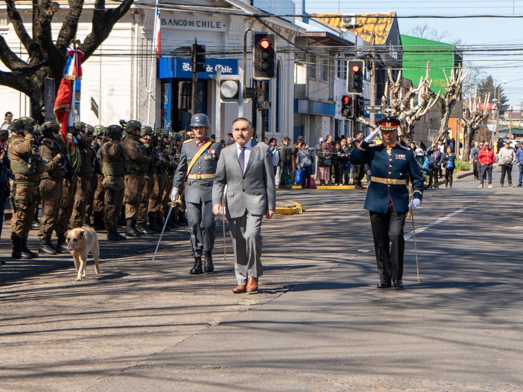 Perrito callejero jugando con la guaripola durante el desfile de la Parada Militar en Victoria