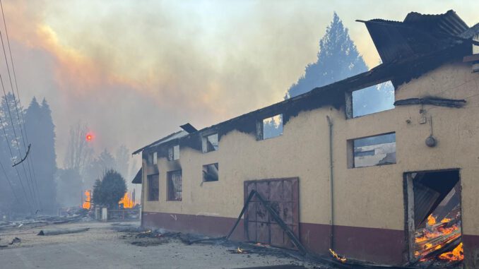 Agricultores de Malleco solicitan un fiscal exclusivo ante el alto número de incendios intencionales en La Araucanía