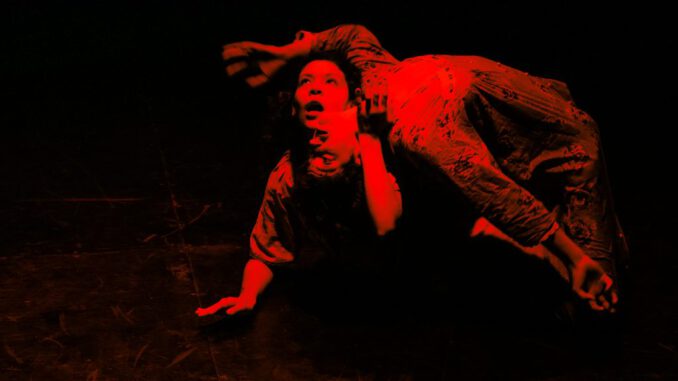 Actores de la obra Quien es Quien en la Carpa Teatro Trashumantes de Temuco