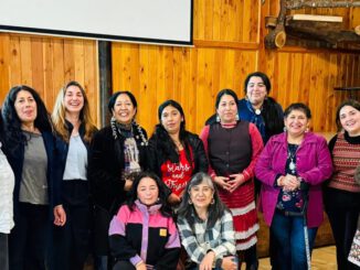 Artesana mapuche trabajando en taller de orfebreria financiado por CONADI en La Araucania