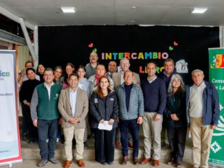 Infraestructura actual de la Escuela Molco Alto en Villarrica antes de su reposición total