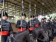 Jinetes del Cuadro Negro del Ejercito de Chile realizando acrobacias ecuestres