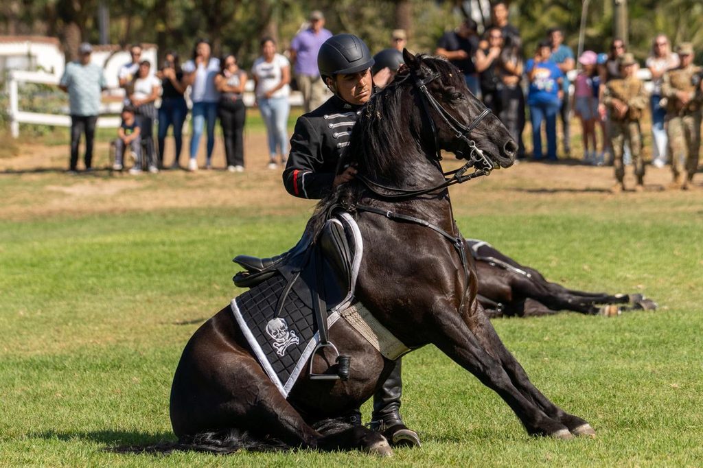 Jinetes del Cuadro Negro del Ejercito de Chile realizando acrobacias ecuestres