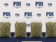 Operativo de la PDI en Chillán donde se incautaron casi dos mil dosis de cannabis