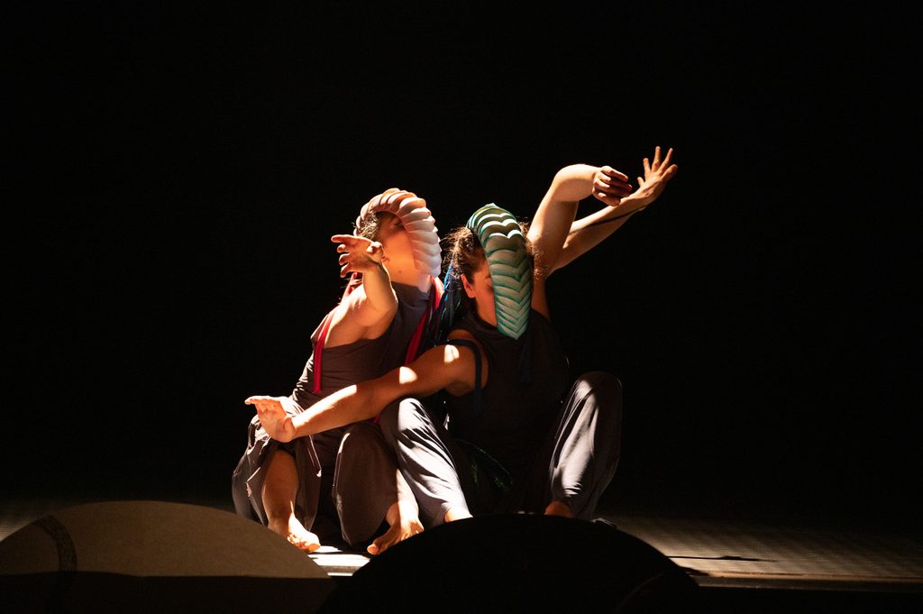 Bailarines de danza contemporanea realizando una interpretacion al aire libre en Pucón durante el Festival RARA