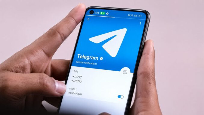 Investigación de fiscalía sobre grupos de Telegram que difunden imágenes íntimas en Temuco