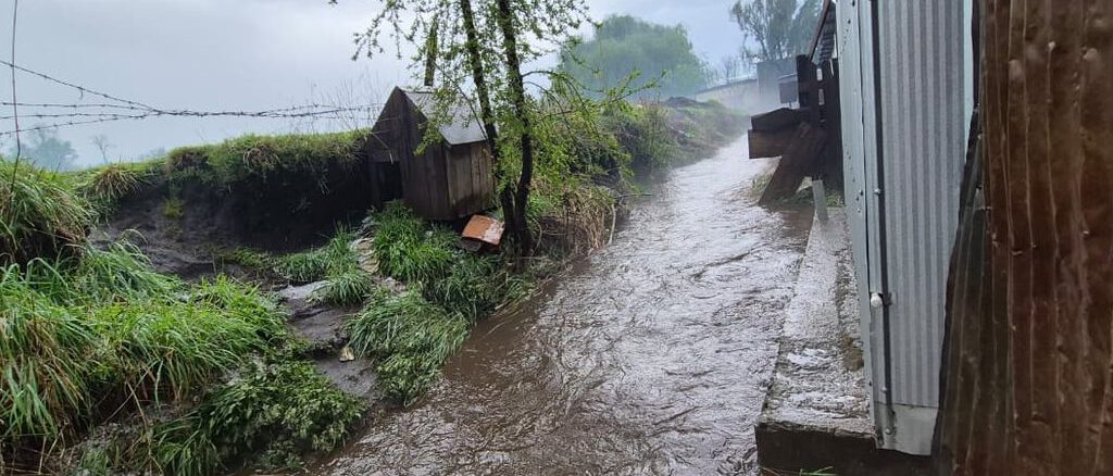 Calles inundadas y viviendas afectadas tras intensa tormenta de granizo en Curacautín