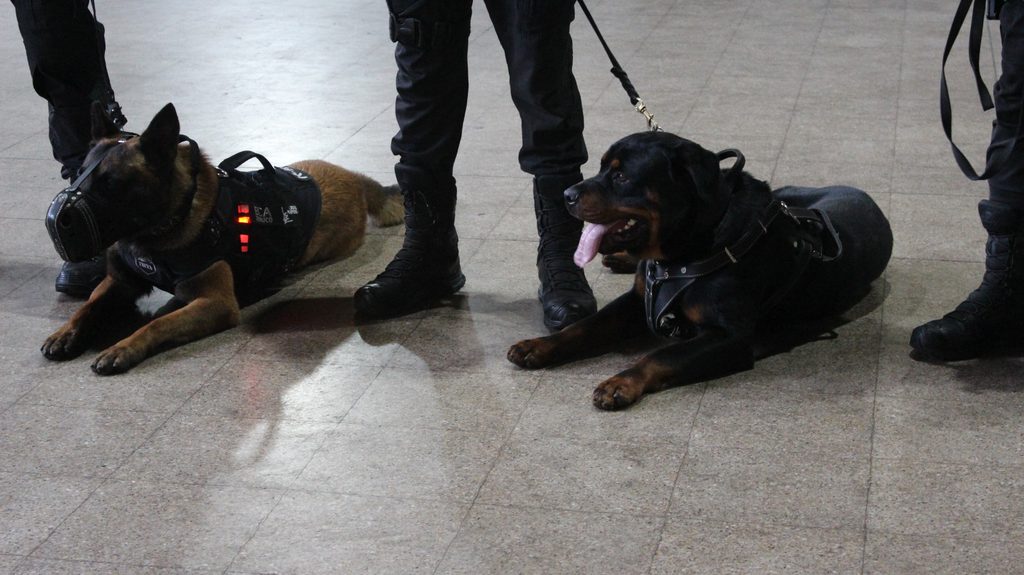 Personal de Gendarmería realizando allanamientos en una cárcel de La Araucanía