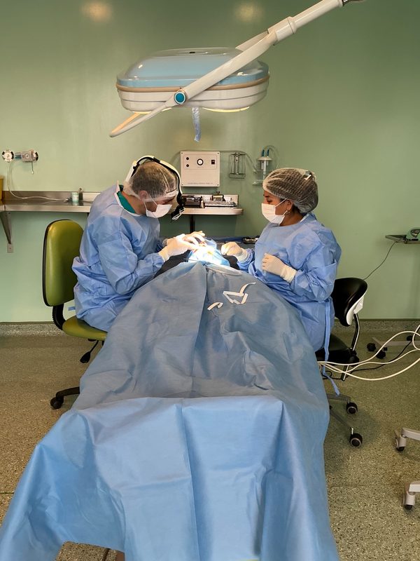 Equipo medico realizando un procedimiento odontologico con tejido oseo donado en el hospital