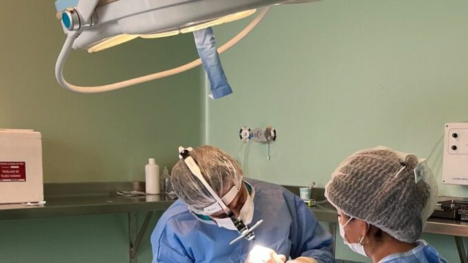 Equipo medico realizando un procedimiento odontologico con tejido oseo donado en el hospital