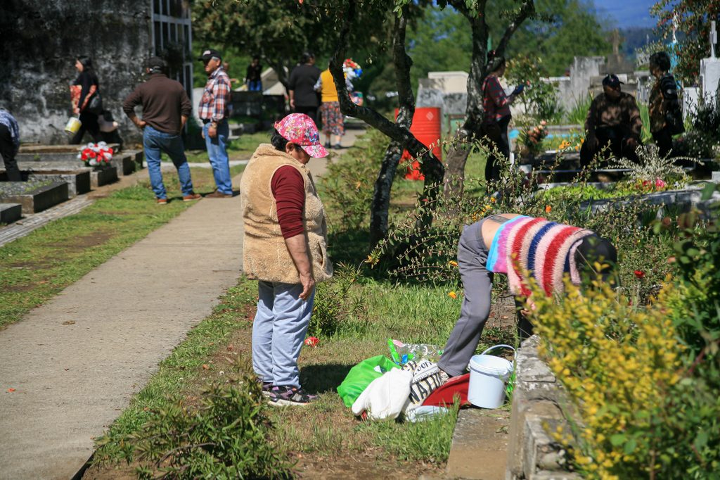 Cementerio Municipal de Villarrica con horarios y recomendaciones para el Día de Todos los Santos