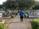 Cementerio Municipal de Villarrica con horarios y recomendaciones para el Día de Todos los Santos