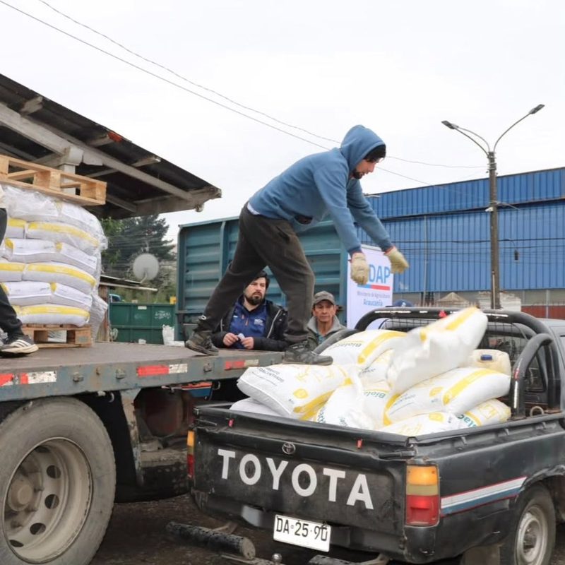 Entrega de alimentación animal de INDAP Araucanía a agricultores afectados por eventos climáticos