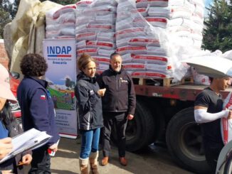 Entrega de alimentación animal de INDAP Araucanía a agricultores afectados por eventos climáticos