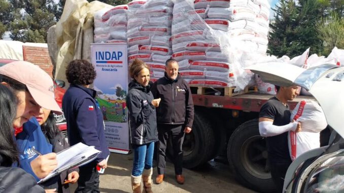 Entrega de alimentación animal de INDAP Araucanía a agricultores afectados por eventos climáticos