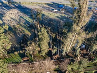 Autoridades locales revisando los daños en el Parque Isabel Riquelme de Lautaro tras los temporales