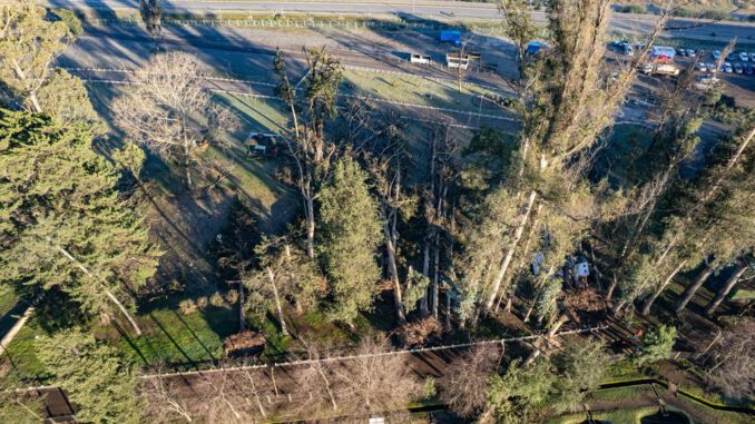 Autoridades locales revisando los daños en el Parque Isabel Riquelme de Lautaro tras los temporales