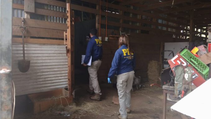 Operativo policial de la PDI y decomiso de carne en matadero clandestino de Gorbea