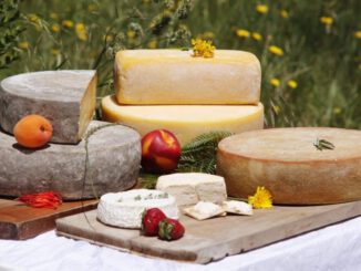 Queso Raclette de la quesería Quesos Mondion premiado con medalla de plata en Uruguay
