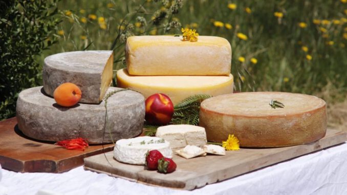 Queso Raclette de la quesería Quesos Mondion premiado con medalla de plata en Uruguay