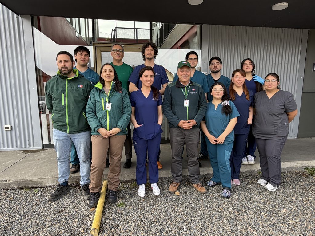 Ejemplares de fauna exotica trasladados por el SAG Biobio a un centro en La Araucania