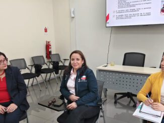 Reunion entre SENCE La Araucania y la Seremi de la Mujer para fortalecer la equidad de genero en el empleo