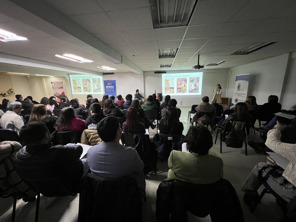 Equipos de SENDA y profesionales reunidos en Temuco en el seminario de buenas prácticas de tratamiento en La Araucanía