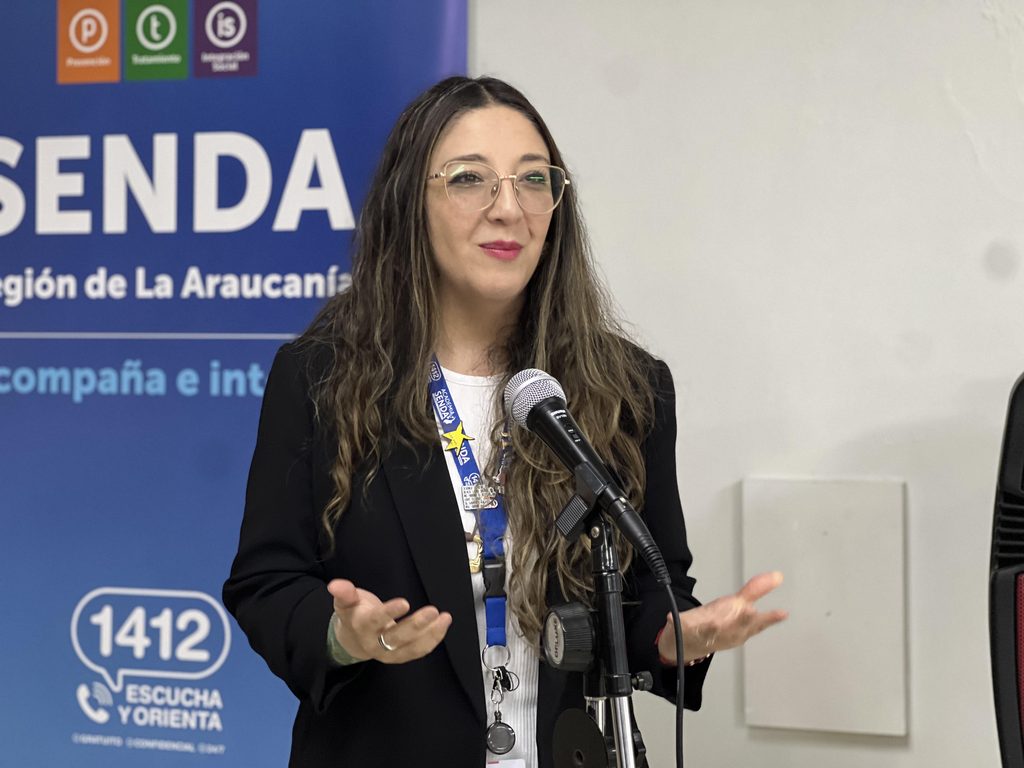 Equipos de SENDA y profesionales reunidos en Temuco en el seminario de buenas prácticas de tratamiento en La Araucanía