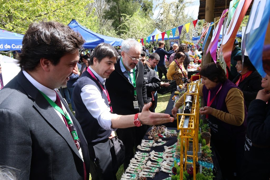 Delegacion de vecinos de La Araucania participando en el encuentro interregional de huertos urbanos