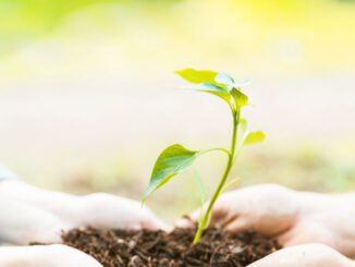 Estudiantes y personas interesadas participando en el curso online gratuito sobre sustentabilidad y cambio climático de la UC Temuco.