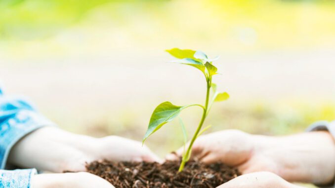 Estudiantes y personas interesadas participando en el curso online gratuito sobre sustentabilidad y cambio climático de la UC Temuco.