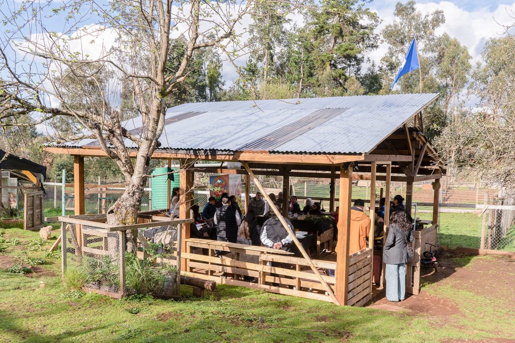 Vecinos y niños participando en talleres de cultivo sustentable en la escuela comunitaria de Temuco