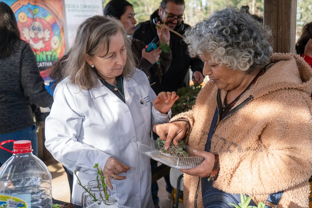 Vecinos y niños participando en talleres de cultivo sustentable en la escuela comunitaria de Temuco