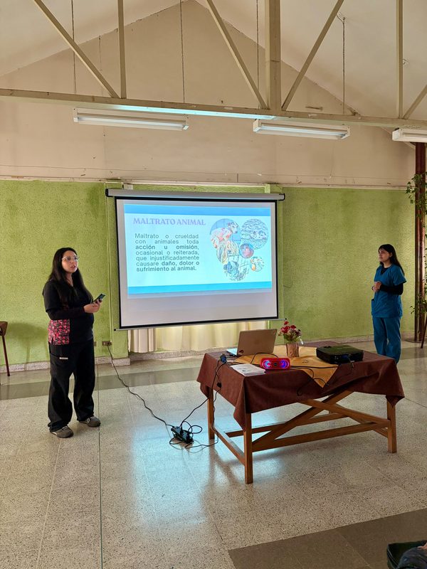 Adultos mayores participando en taller de tenencia responsable de mascotas en Victoria