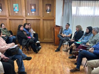 Terreno adquirido en Villarrica para el nuevo megaproyecto habitacional de vivienda social